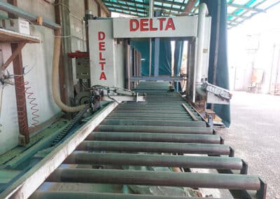 tagliapacchi-delta
